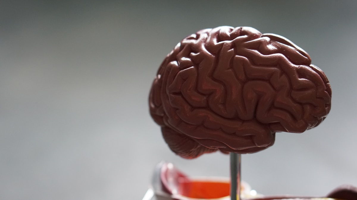 Neurology specialist providing patient care