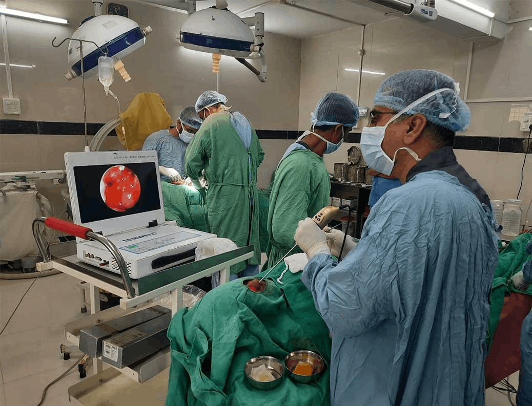 ENT specialist consultation