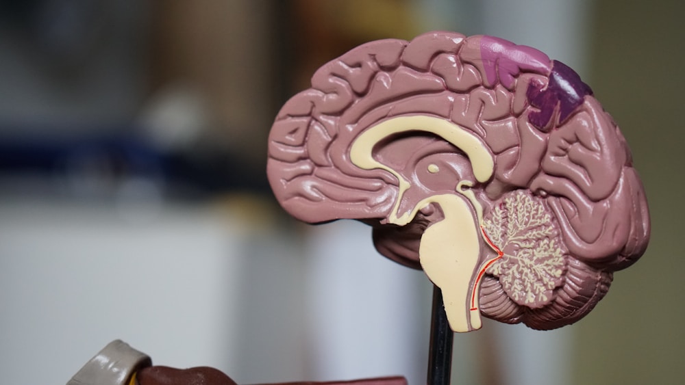 Neurological patient care